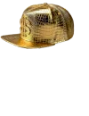 @SomeGayFurry's hat